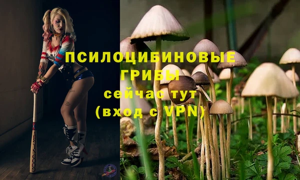 Альфа ПВП Богданович
