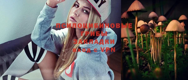 первитин Богородицк