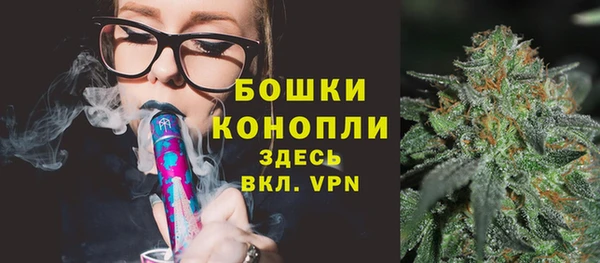 первитин Богородицк