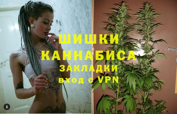 гидропоника Богородск