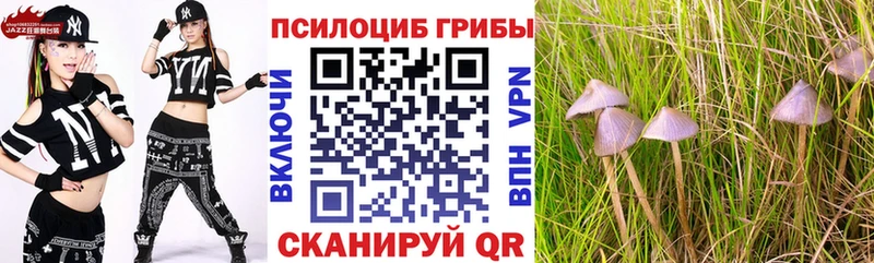 Псилоцибиновые грибы Psilocybine cubensis  Санкт-Петербург 