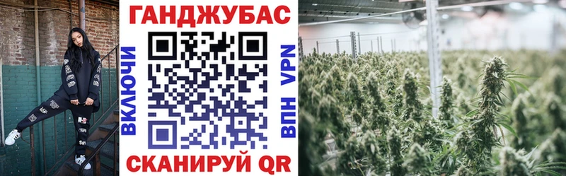 Каннабис индика  как найти наркотики  Санкт-Петербург 